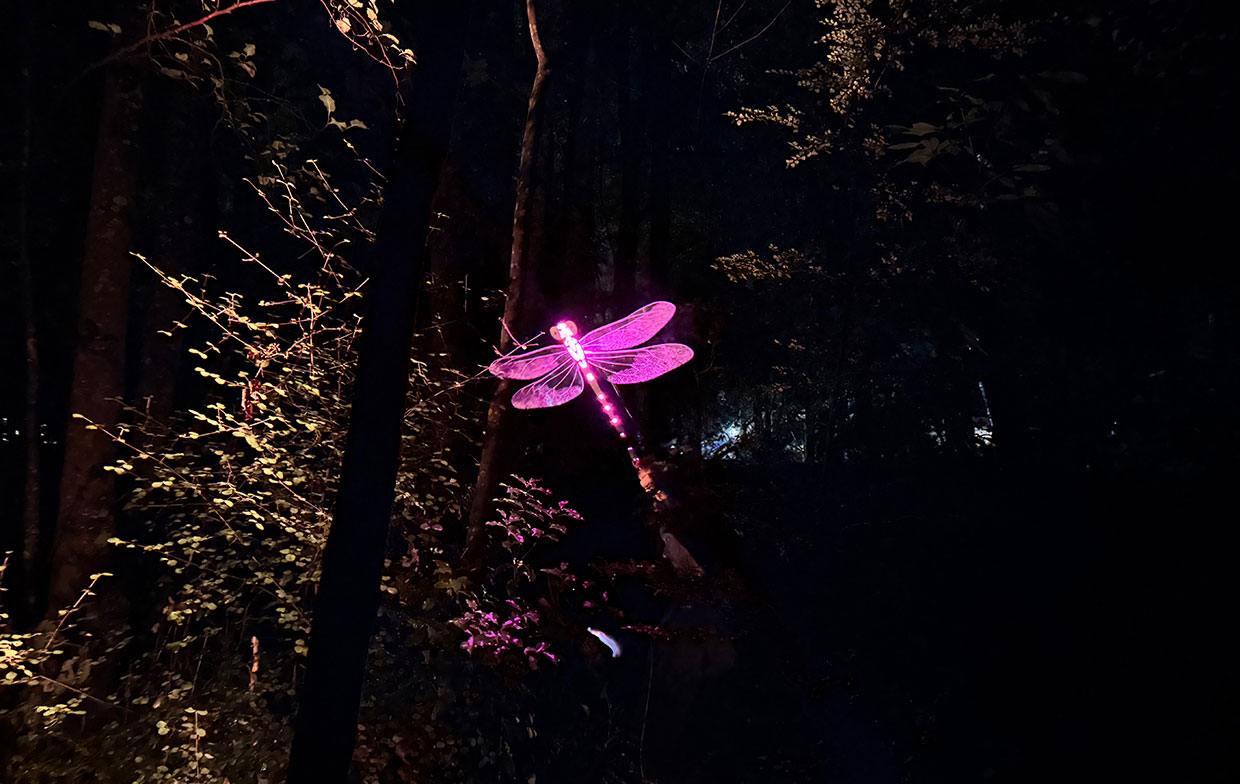 Glowing Dragonfly Light Sculpture Nestled in the LUMA Enchanted Forest