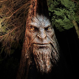 LUMA Enchanted forest guardian projection gallery web