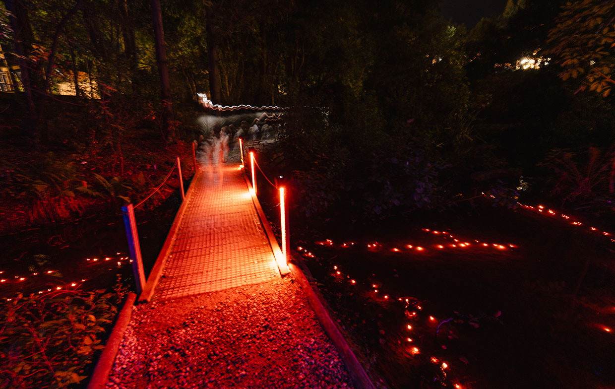 Submerged Lighting Beneath Bridge and Pond