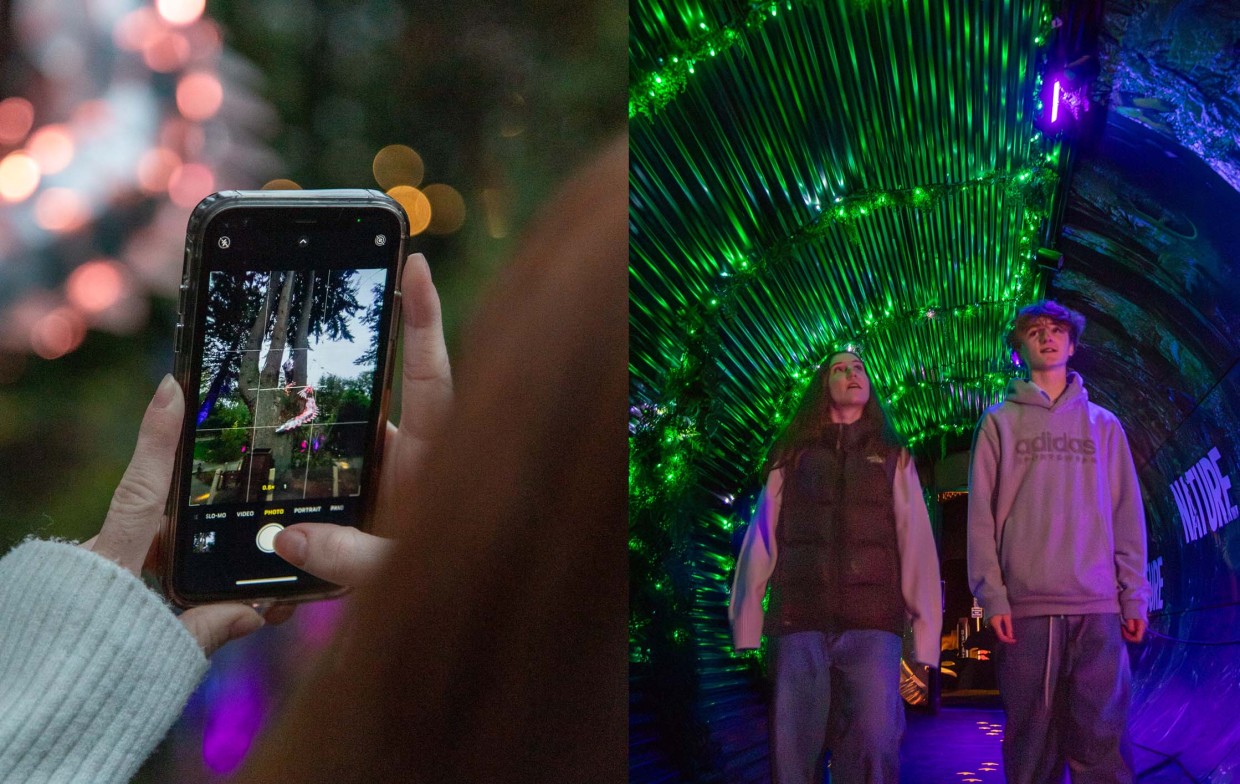 No rush, just wonder. Explore LUMA Enchanted your way