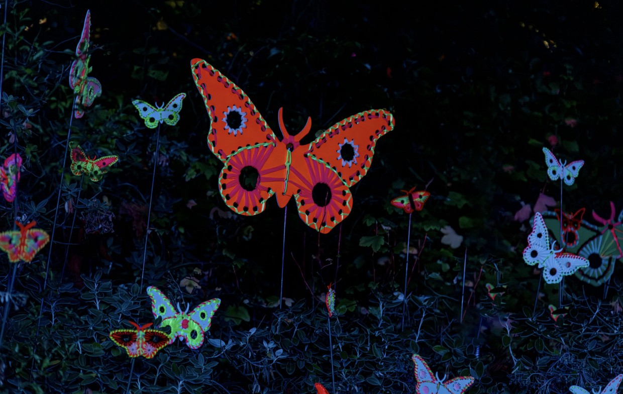 Glowing butterfly sculptures appearing to fly through the night sky