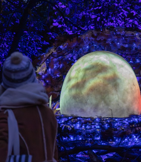 Glowing enchanted egg sculpture nestled in a magical forest main image